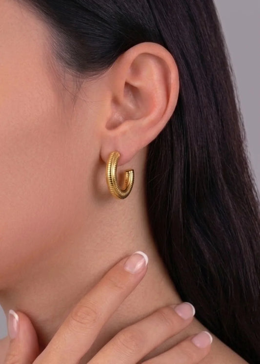 Pendientes Nile