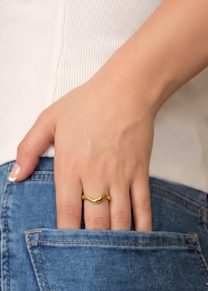 Anillo Fluid