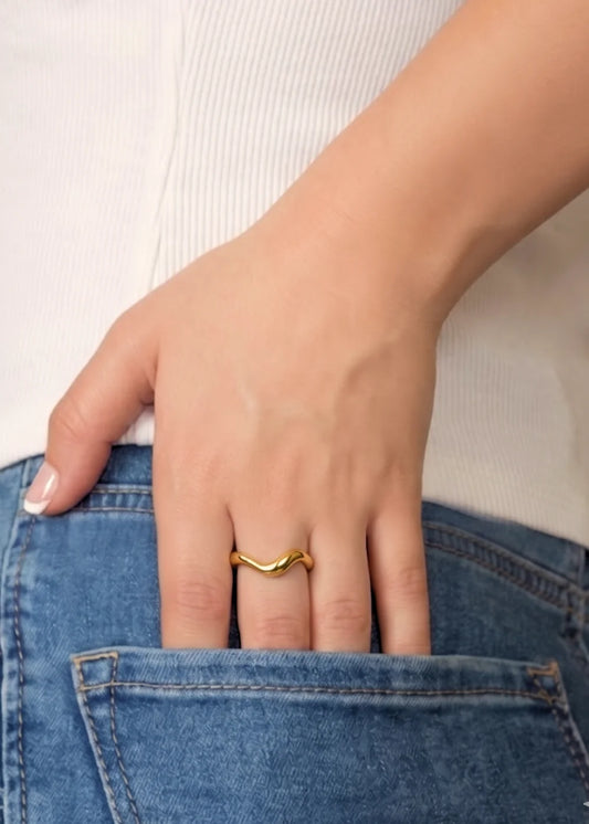 Anillo Fluid