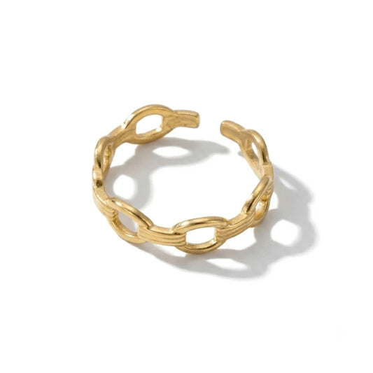 Anillo Link