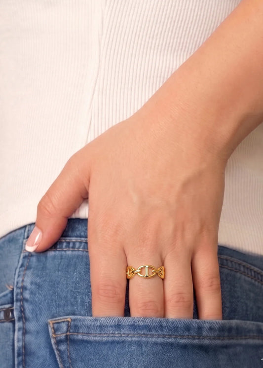 Anillo Marine