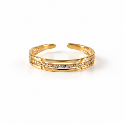 Anillo Vega