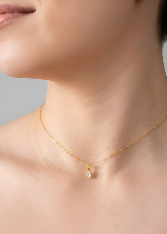 Collar Light