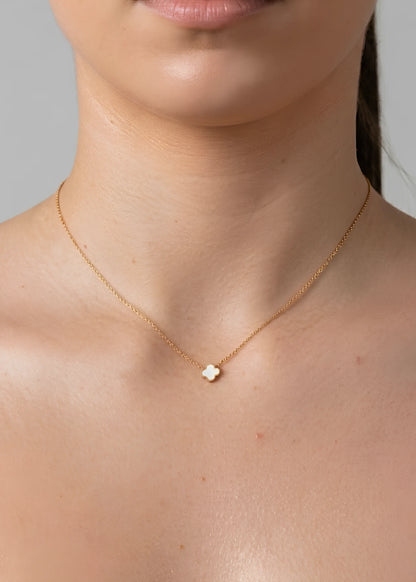 Collar Lucky