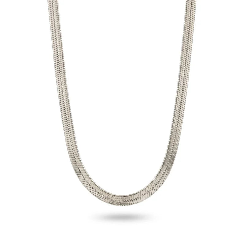 Collar Snake