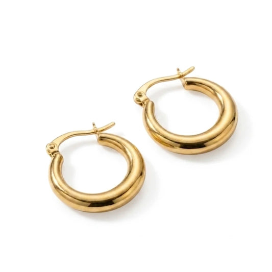 Pendientes Silk
